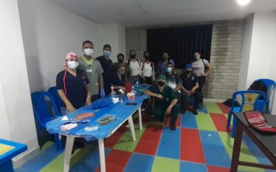 Valdivia realiza jornada en pro de los animales