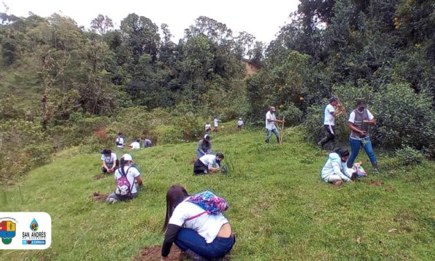 San Andrés de Cuerquia realiza una sembratón que beneficia al medio ambiente