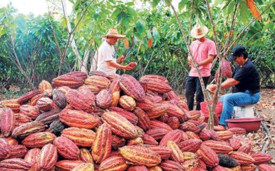 Maceo fortalece el campo