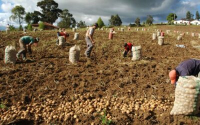 El campo es la prioridad de Vegachí