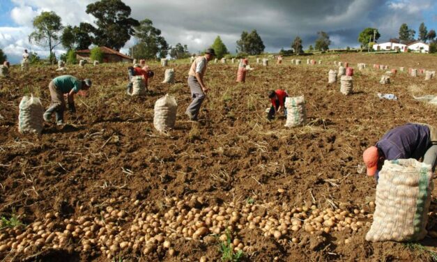 El campo es la prioridad de Vegachí