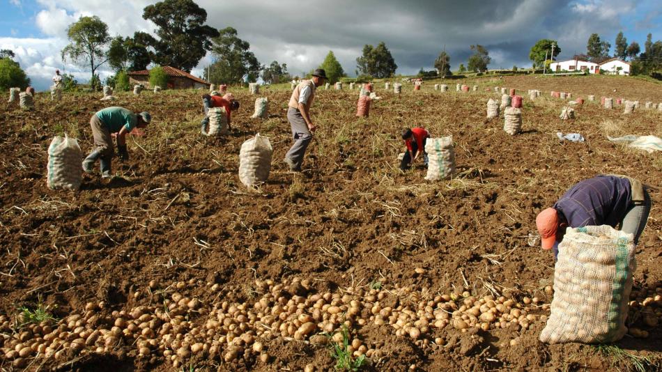 El campo es la prioridad de Vegachí
