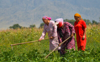 San Vicente Ferrer 5 Mujeres que transforman el campo