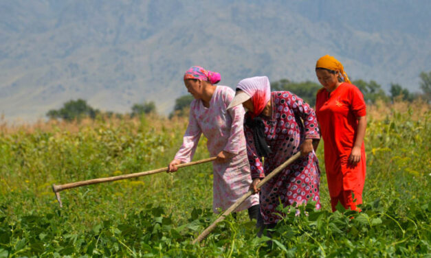 Mujeres que transforman el campo