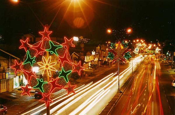 Durante la noche buena los paisas se comportaron bien a comparación del año pasado Durante la noche buena los paisas se comportaron bien a comparación del año pasado