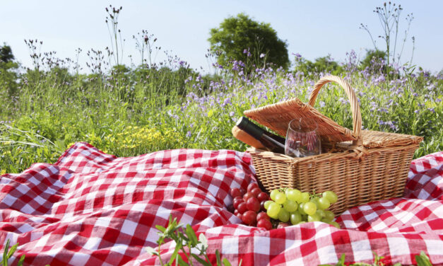 Picnic familiar en Apartadó