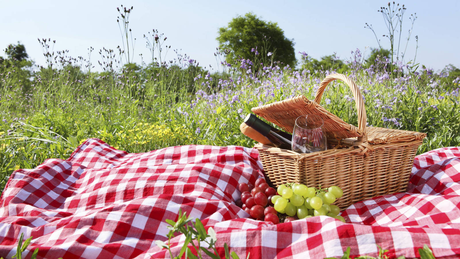 de-picnic-los-mejores-sitios-en-madrid-para-disfrutar-de-una-comida-campestre