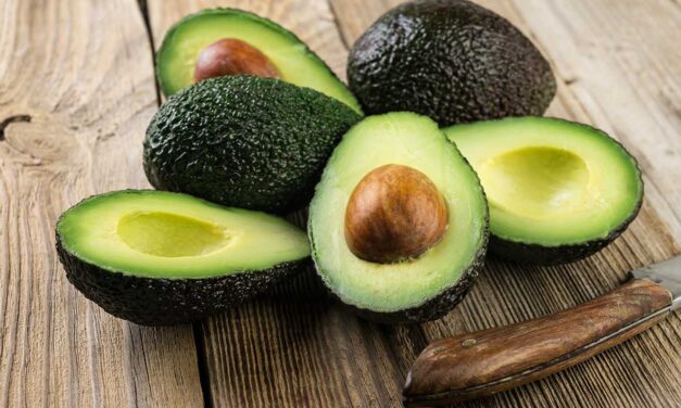 Antioquia es potencia exportadora de aguacate en Colombia