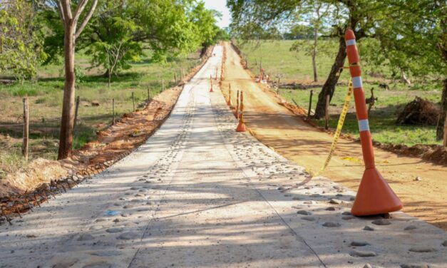 Nuevas Placa-huella en Guarne