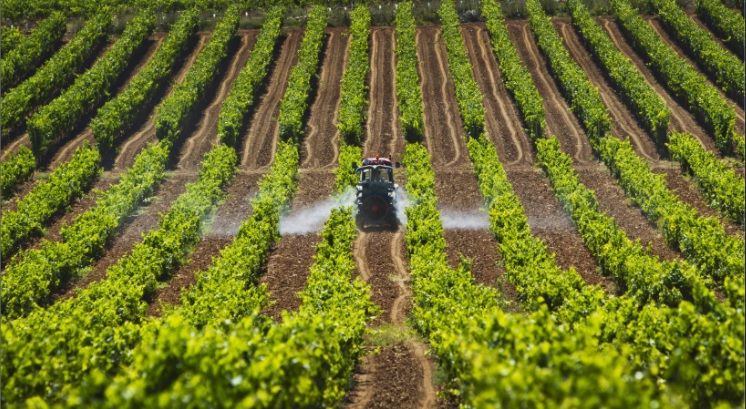 100.000 millones para la agricultura antioqueña 100.000 millones para la agricultura antioqueña