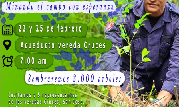 En Alejandría se sembrará 3000 árboles nativos en Cruces