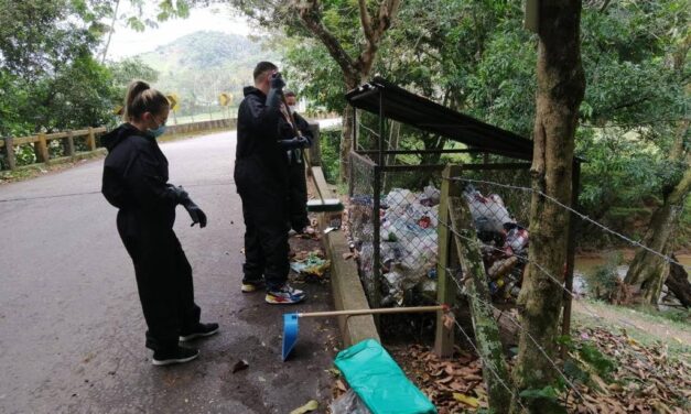 Remedios realizó jornada de limpieza a las fuentes hídricas