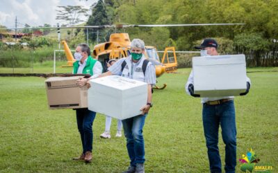 66 dosis llegaron a Amalfi