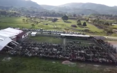 Vegachí se une para formar parte de la Asociación de Ganaderos del Nordeste
