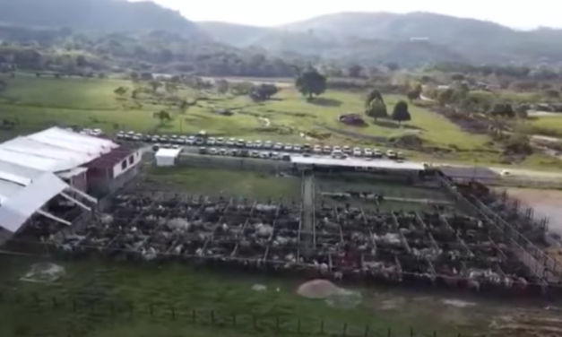 Vegachí se une para formar parte de la Asociación de Ganaderos del Nordeste