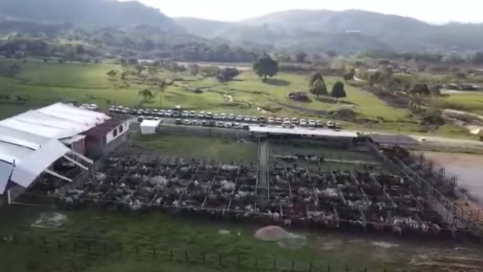 Vegachí se une para formar parte de la Asociación de Ganaderos del Nordeste