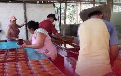 Recuperación del Trapiche Comunitario de la vereda San Julián, en Puerto Berrío