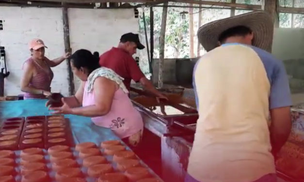 Recuperación del Trapiche Comunitario de la vereda San Julián, en Puerto Berrío