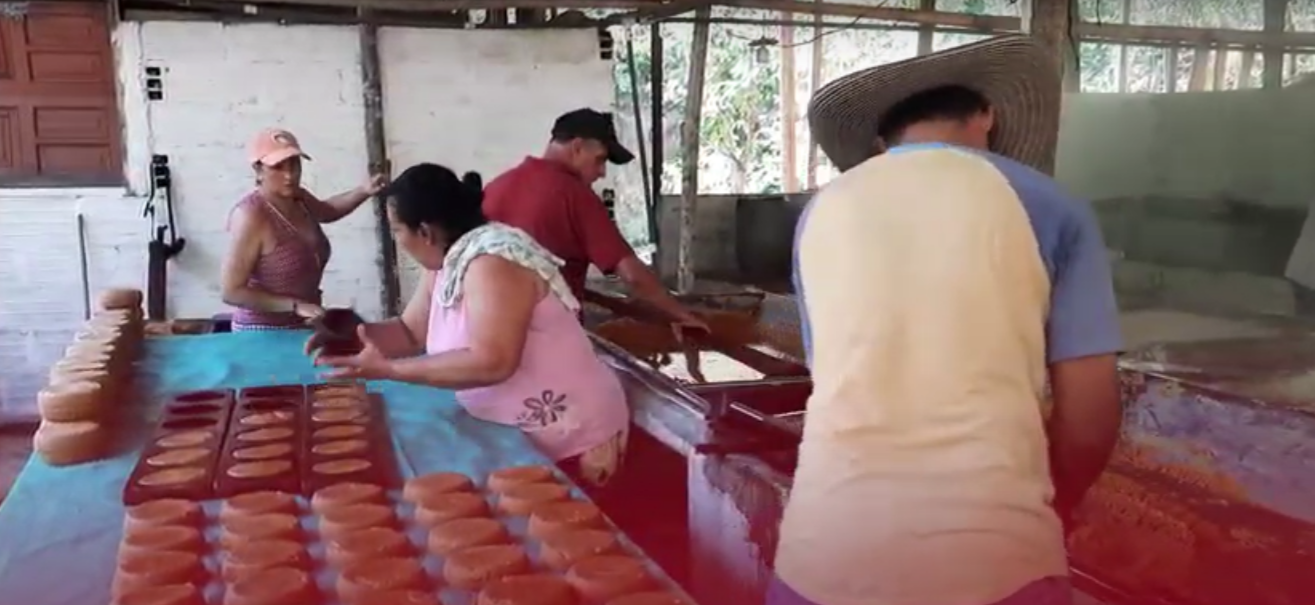 Recuperación del Trapiche Comunitario de la vereda San Julián, en Puerto Berrío Recuperación del Trapiche Comunitario de la vereda San Julián, en Puerto Berrío