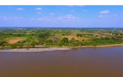 Recuperación de áreas degradadas en el Bajo Cauca