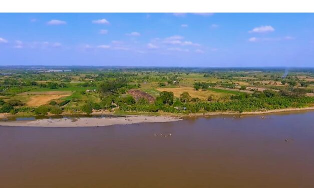 Recuperación de áreas degradadas en el Bajo Cauca