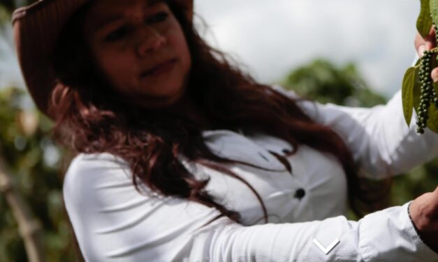 El alcalde de Zaragoza, como vocero de la subregión, se reunió con PDET para nuevos proyectos