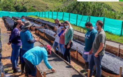 Las semillas de la alcaldía de Andes