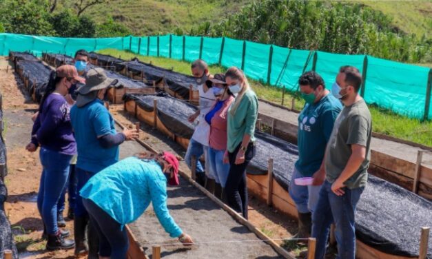 Las semillas de la alcaldía de Andes