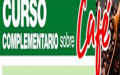 Nuevo curso complementario en Toledo