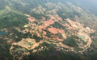 Próxima recuperación de 10.000 hectáreas en el Bajo Cauca
