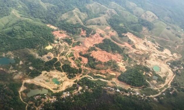 Próxima recuperación de 10.000 hectáreas en el Bajo Cauca
