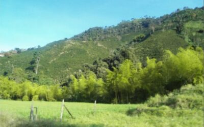 Progresos del medio ambiente en Betania