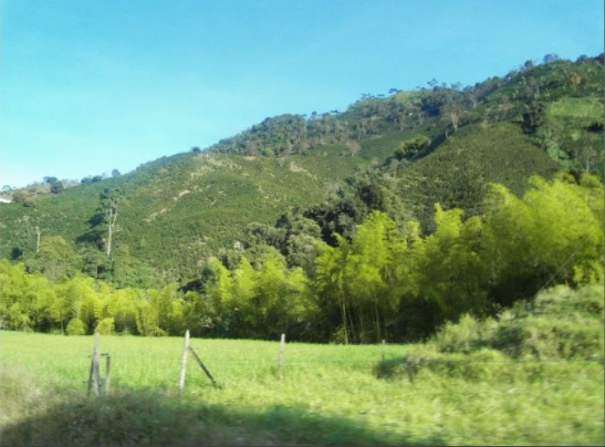 Progresos en el medio ambiente en Betania