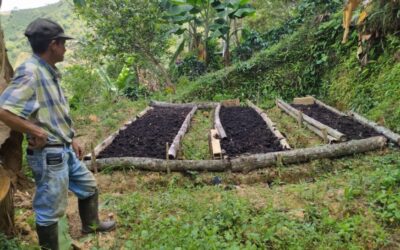 Reformarán las veredas de Betulia