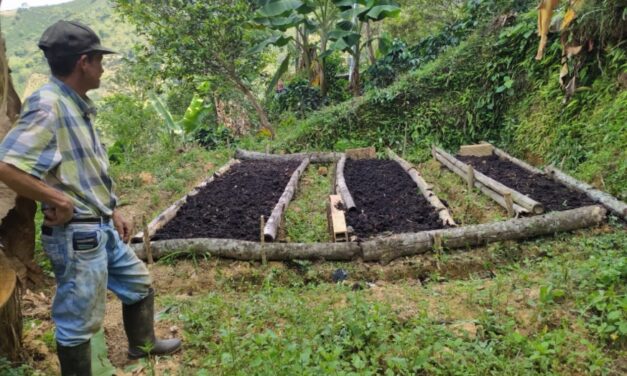 Reformarán las veredas de Betulia