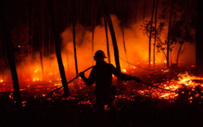 Yondó hace un llamado a los habitantes para evitar los incendios forestales