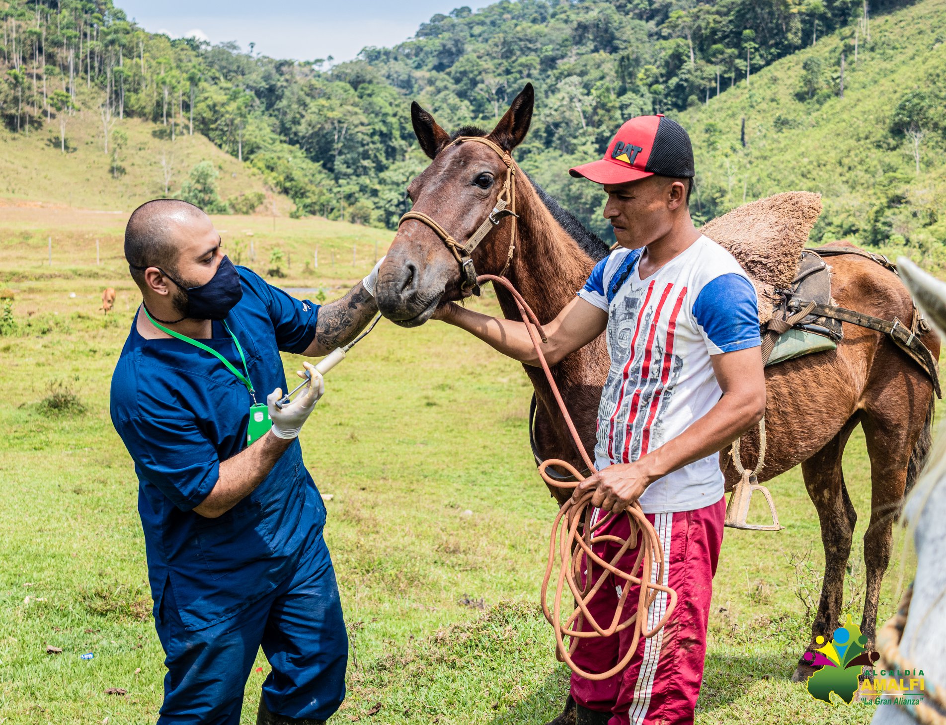 Jornada agropecuaria en Amalfi