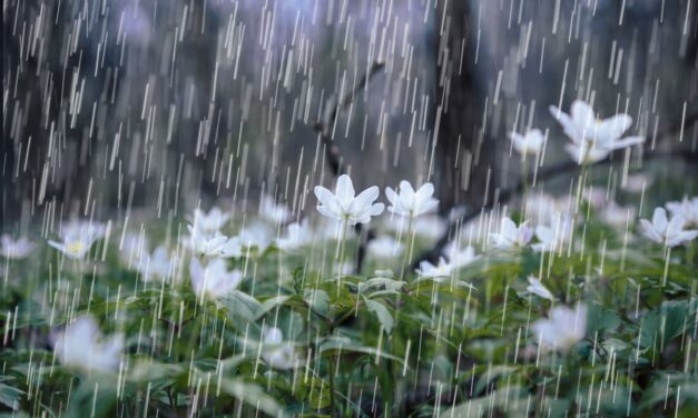 Cinco municipios del Oriente reportan afectaciones por las lluvias