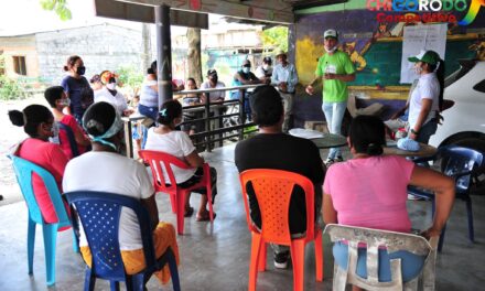 Embellecimiento de fachadas en Chigorodó