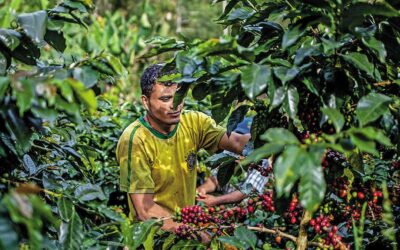 Capacitaciones para caficultores en Caicedo