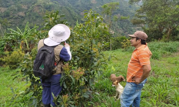 Betulia apoya a los campesinos y la naturaleza