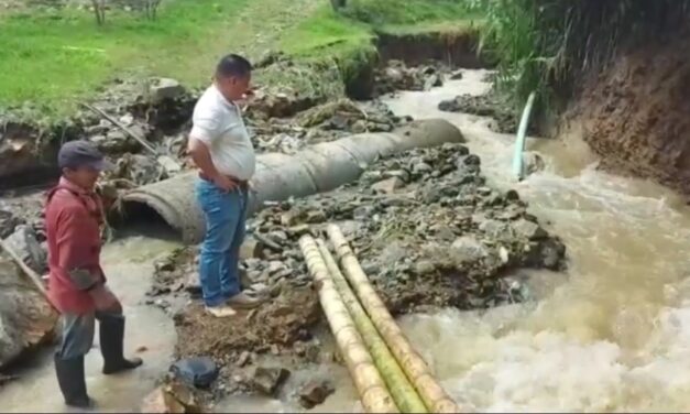 Considerables daños en Betania por las lluvias