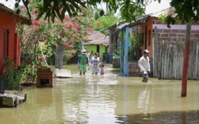 Crecida del río Cauca afecta a las familias del Bajo Cauca