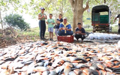 Cuarta entrega de alimentos en Cáceres