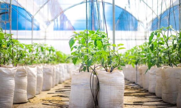 “La Ciudadela Agrotecnologica San José” el nuevo proyecto de la Secretaría de Agricultura de Marinilla pensado en el futuro del campo