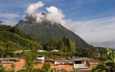 Sobre la seguridad en Fredonia