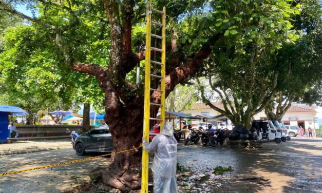 Nuevas construcciones y remodelaciones en Valparaíso, Antioquia