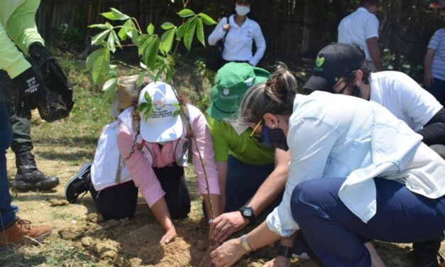 Siembra de arboles en Arboletes