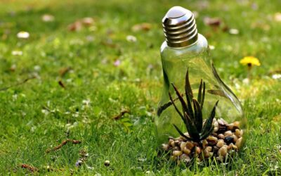 Ya hay Mesa Ambiental en el municipio de Olaya