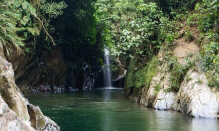 Habitantes de Cocorná están generando alternativas para el cuidado del Río Melcocho